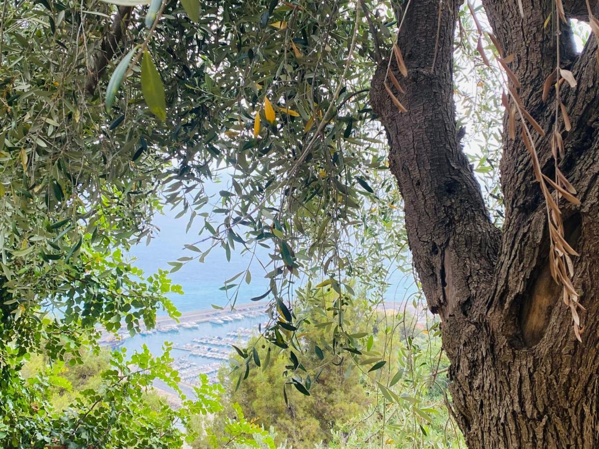 “Da Senso” Relax Nel Verde Vista Mare Finale Ligure Εξωτερικό φωτογραφία