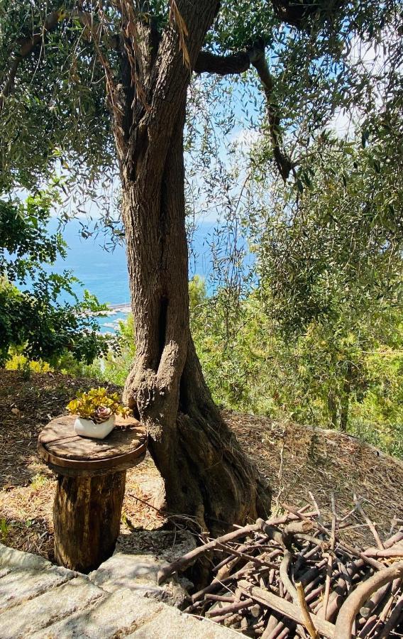 “Da Senso” Relax Nel Verde Vista Mare Finale Ligure Εξωτερικό φωτογραφία